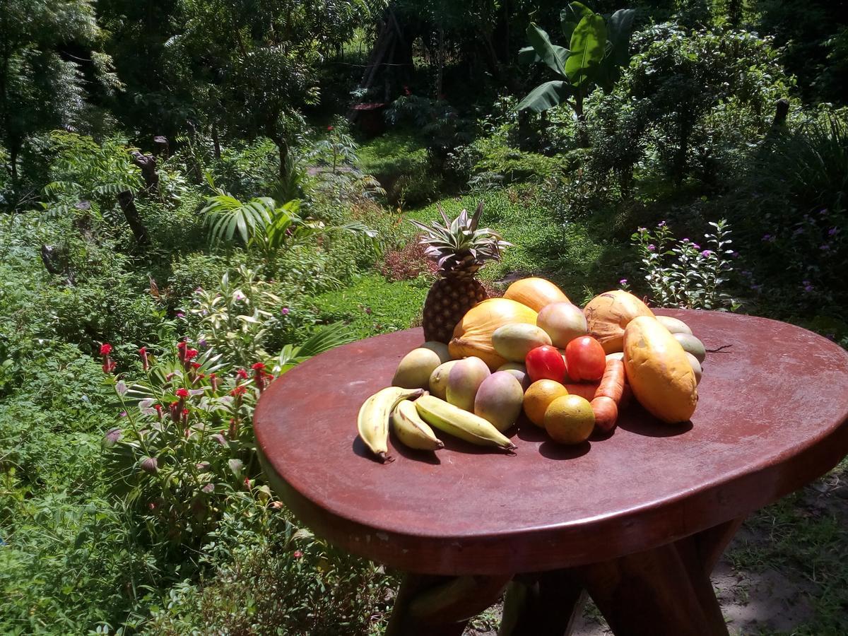 Beach Cabin Ometepe Altagracia Εξωτερικό φωτογραφία